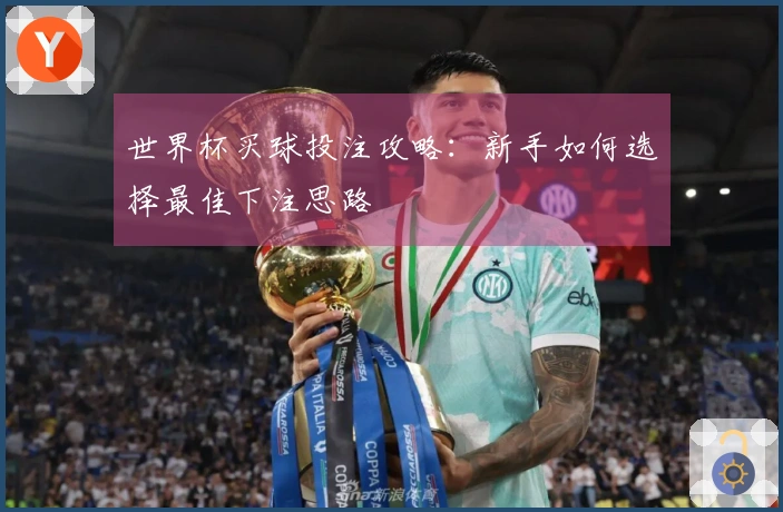 世界杯买球投注攻略：新手如何选择最佳下注思路
