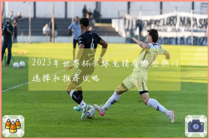 2023年世界杯买球竞猜有哪些热门选择和推荐攻略