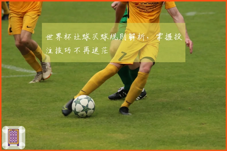 世界杯让球买球规则解析，掌握投注技巧不再迷茫
