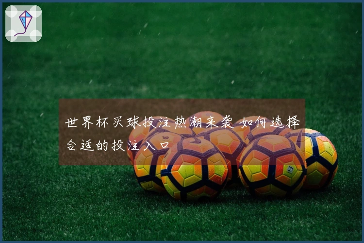 世界杯买球投注热潮来袭 如何选择合适的投注入口