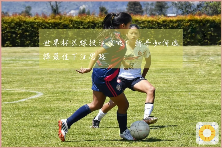 世界杯买球投注攻略：新手如何选择最佳下注思路