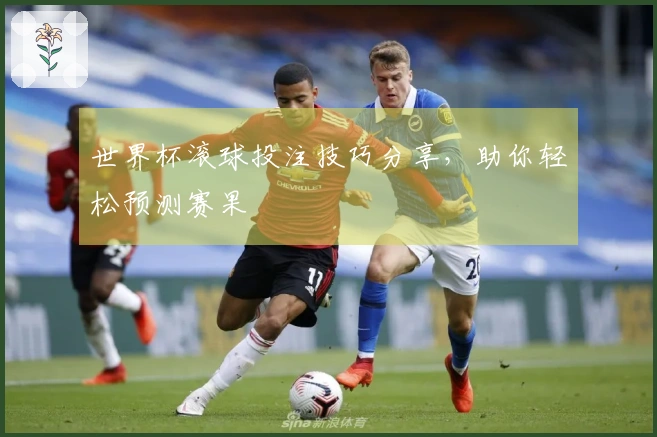 世界杯滚球投注技巧分享，助你轻松预测赛果