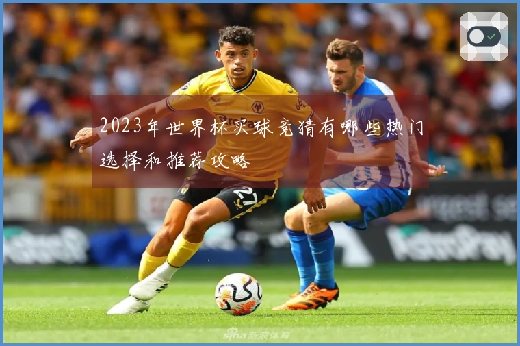 2023年世界杯买球竞猜有哪些热门选择和推荐攻略