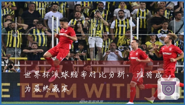 世界杯滚球赔率对比分析，谁将成为最终赢家